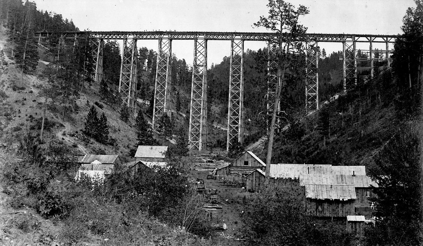 The Way We Were | 1880s
